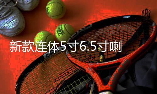 新款連體5寸6.5寸喇叭空箱 二分頻音箱低音炮汽車喇叭木箱試音箱