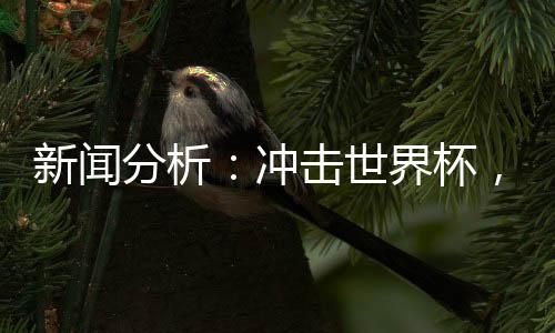 新聞分析：沖擊世界杯，中國(guó)男足必須連贏兩場(chǎng)“生死戰(zhàn)”
