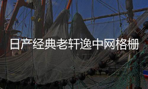 日產(chǎn)經(jīng)典老軒逸中網(wǎng)格柵外觀改裝件爆改前臉保險(xiǎn)杠專用裝飾條配件