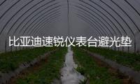 比亞迪速銳儀表臺避光墊汽車內(nèi)飾裝飾用品配件中控臺改裝防曬墊