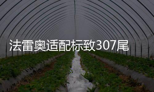 法雷奧適配標(biāo)致307尾燈總成 小嘴三廂尾燈罩汽車后尾燈 正品配件