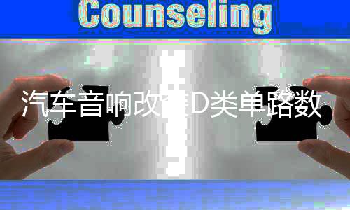 汽車(chē)音響改裝D類(lèi)單路數(shù)字大功率雙音圈超重純低音無(wú)源低音炮功放