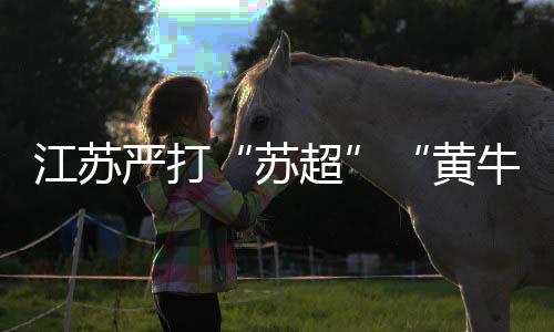 江蘇嚴(yán)打“蘇超”“黃?！保旱谒妮嗁愂鹿沧カ@105人