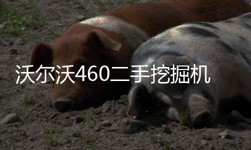 鐳雕高亮黑材料耐化學性Gepla?X1084Gepla?X1084B