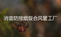 消音防排煙復合風管工廠