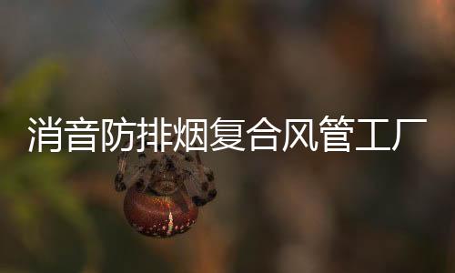 消音防排煙復(fù)合風(fēng)管工廠