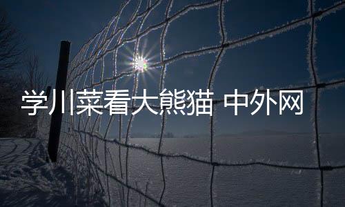 學川菜看大熊貓 中外網(wǎng)球運動員愛上成都安逸慢生活