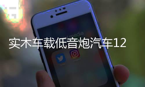 實木車載低音炮汽車12v24v無線藍(lán)牙音箱改裝220v家用臺式電腦音響