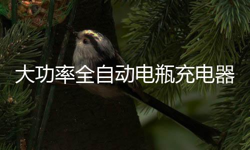 大功率全自動(dòng)電瓶充電器12V24伏智能修復(fù)維護(hù)汽車起停蓄電池脈沖