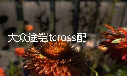 大眾途鎧tcross配件裝飾用品汽車改裝后門防護(hù)貼后備箱尾箱后護(hù)板