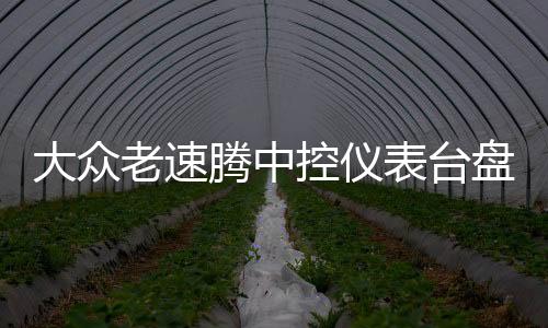 大眾老速騰中控儀表臺(tái)盤避光墊專用汽車內(nèi)飾防曬隔熱遮光墊配件改