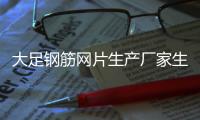 大足鋼筋網(wǎng)片生產(chǎn)廠家生產(chǎn)基地「多圖」