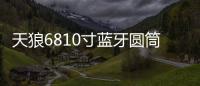天狼6810寸藍(lán)牙圓筒大功率重低車(chē)載有源汽車(chē)低音炮12V24V220V音響