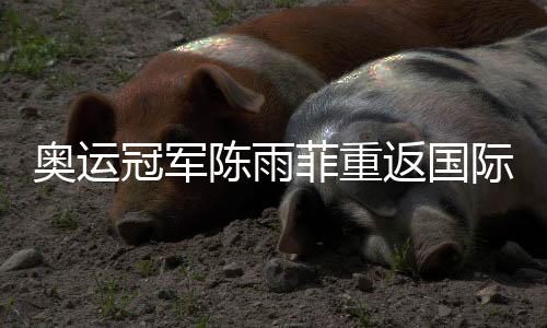 奧運冠軍陳雨菲重返國際賽場:很開心能重新為國而戰(zhàn)