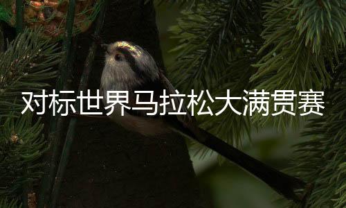 對標(biāo)世界馬拉松大滿貫賽事 上海馬拉松增設(shè)競速輪椅馬拉松項目