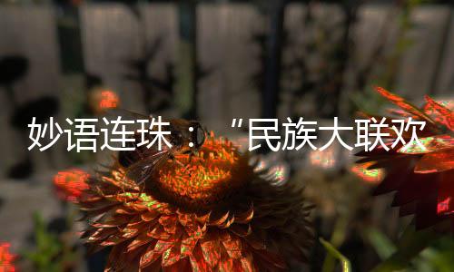 妙語(yǔ)連珠：“民族大聯(lián)歡就像大型的家庭文藝匯演”
