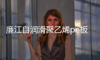 廉江自潤(rùn)滑聚乙烯pe板批發(fā)