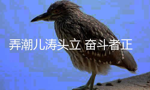 弄潮兒濤頭立 奮斗者正青春——2023年競技體育關(guān)鍵詞