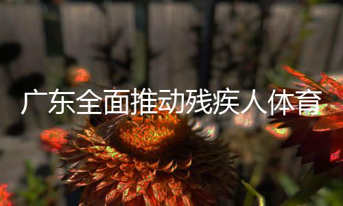 廣東全面推動(dòng)殘疾人體育事業(yè)高質(zhì)量發(fā)展 殘疾人運(yùn)動(dòng)佳績不斷