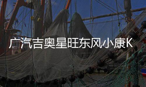 廣汽吉奧星旺東風(fēng)小康K17/K07S/C37面包車(chē)汽車(chē)電瓶45AH12V蓄電池
