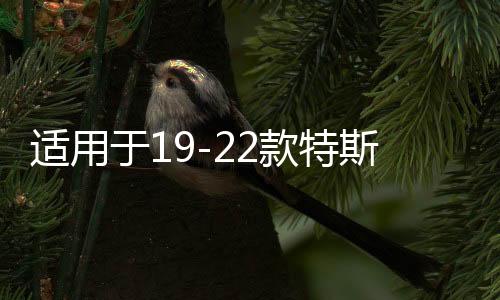 適用于19-22款特斯拉model3音響激活升級(jí)喇叭改裝線解鎖線 8升12