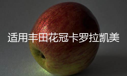 適用豐田花冠卡羅拉凱美瑞雷凌汽車?yán)?x9寸音響改裝后備箱低音