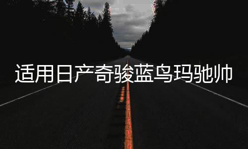適用日產(chǎn)奇駿藍(lán)鳥瑪馳帥客頤達(dá)勁客汽車前門后門音響喇叭無損升級