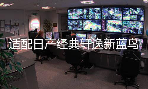 適配日產(chǎn)經(jīng)典軒逸新藍(lán)鳥新陽光尼桑驪威原裝汽車電瓶瓦爾塔蓄電池