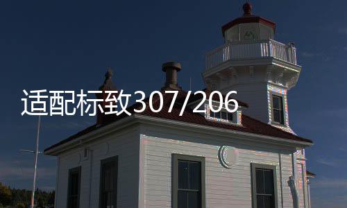 適配標(biāo)致307/206/408/雪鐵龍C4L世嘉原裝電瓶駱駝60AH汽車蓄電池