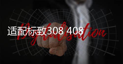 適配標(biāo)致308 408世嘉16V 1.6標(biāo)志307汽車發(fā)電機(jī)曲軸皮帶輪 配件