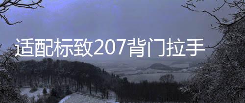 適配標(biāo)致207背門(mén)拉手 標(biāo)志206汽車(chē)后備箱拉手背門(mén)驅(qū)動(dòng)器電機(jī)配件