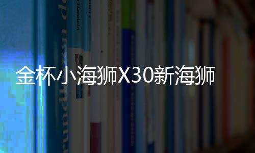 金杯小海獅X30新海獅X30L改裝飾汽車配件中控儀表臺(tái)盤防曬避光墊