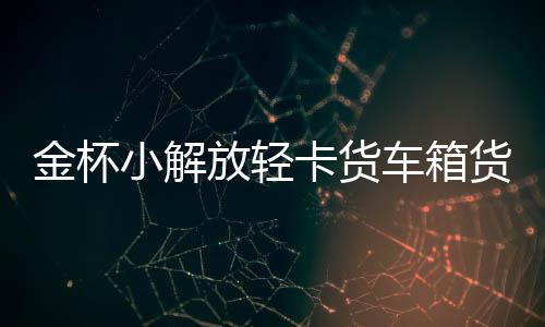 金杯小解放輕卡貨車(chē)箱貨領(lǐng)騏騏運(yùn)汽車(chē)配件汽車(chē)坐墊套冰絲座墊貨