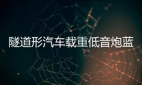 隧道形汽車載重低音炮藍(lán)牙音響摩托貨車12V24V家用220V改裝小音箱