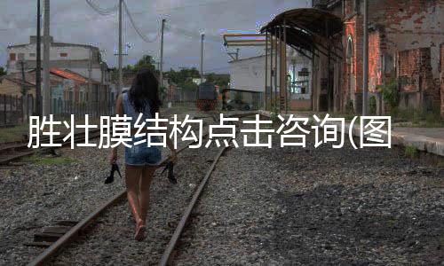 國產(chǎn)替代美國蘇威PARA1521玻纖增強高強度抗蠕變阻燃級