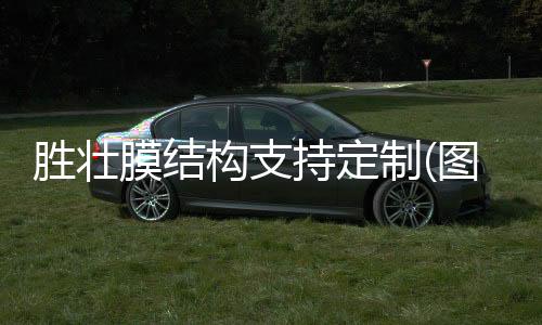 陜西層流***室凈化