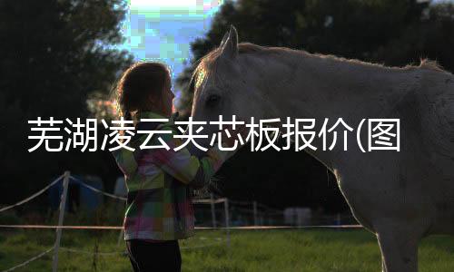 新鄉(xiāng)尼龍襯板生產(chǎn)廠家