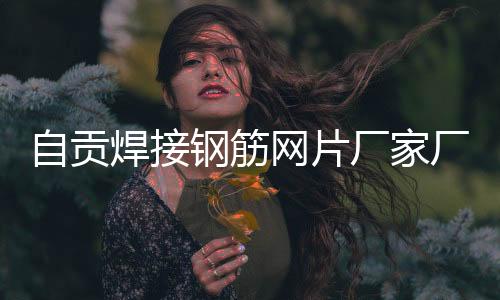 自貢焊接鋼筋網片廠家廠商