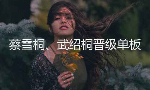 蔡雪桐、武紹桐晉級(jí)單板滑雪女子U型場(chǎng)地技巧決賽 劉佳宇受傷離場(chǎng)