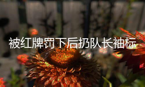 被紅牌罰下后扔隊(duì)長(zhǎng)袖標(biāo)引發(fā)爭(zhēng)議，王大雷道歉
