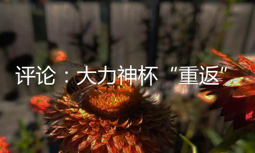 評論：大力神杯“重返”中國，中國男足何時重返世界杯？
