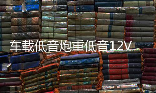 車(chē)載低音炮重低音12V小車(chē)改裝汽車(chē)音響藍(lán)牙貨車(chē)24V大功率家用音箱