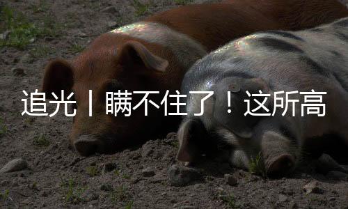 追光丨瞞不住了！這所高校的學(xué)生居然會(huì)“一葦渡江”