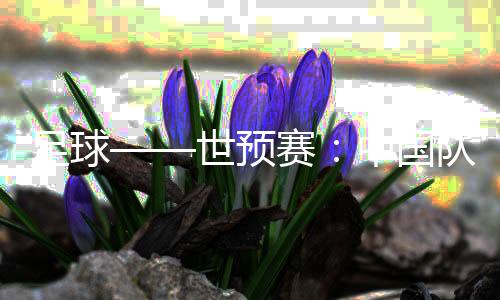 足球——世預(yù)賽：中國隊(duì)舉行新聞發(fā)布會(huì)并進(jìn)行賽前訓(xùn)練