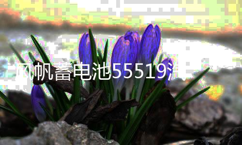 風(fēng)帆蓄電池55519汽車電瓶適配于長(zhǎng)城嘉年華馬自達(dá)3別克賽歐
