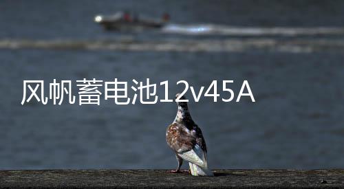 風帆蓄電池12v45Ah現(xiàn)代悅納i30五菱宏光榮光V雅紳特46B24汽車電瓶