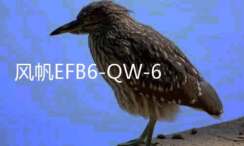 風(fēng)帆EFB6-QW-60啟停專用汽車電瓶適配繽智長(zhǎng)安逸動(dòng)CS75哈弗H6上門