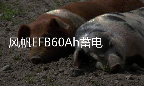 風(fēng)帆EFB60Ah蓄電池長城哈佛H6/H2/M6/F7原裝自動(dòng)啟停1.5T汽車電瓶