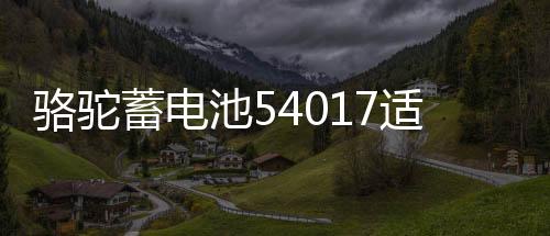 駱駝蓄電池54017適配比亞迪F0汽車54534風(fēng)行SX6騰翼寶駿510電瓶