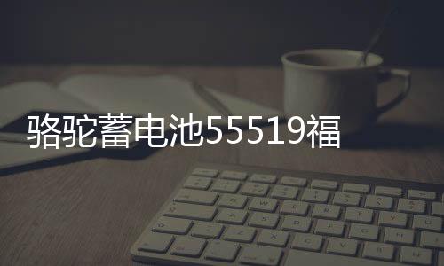 駱駝蓄電池55519福特?？怂辜文耆A馬自達(dá)3/2賽歐汽車電瓶12V55ah